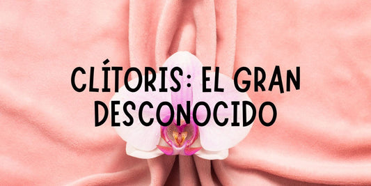 Clítoris, el gran desconocido del placer