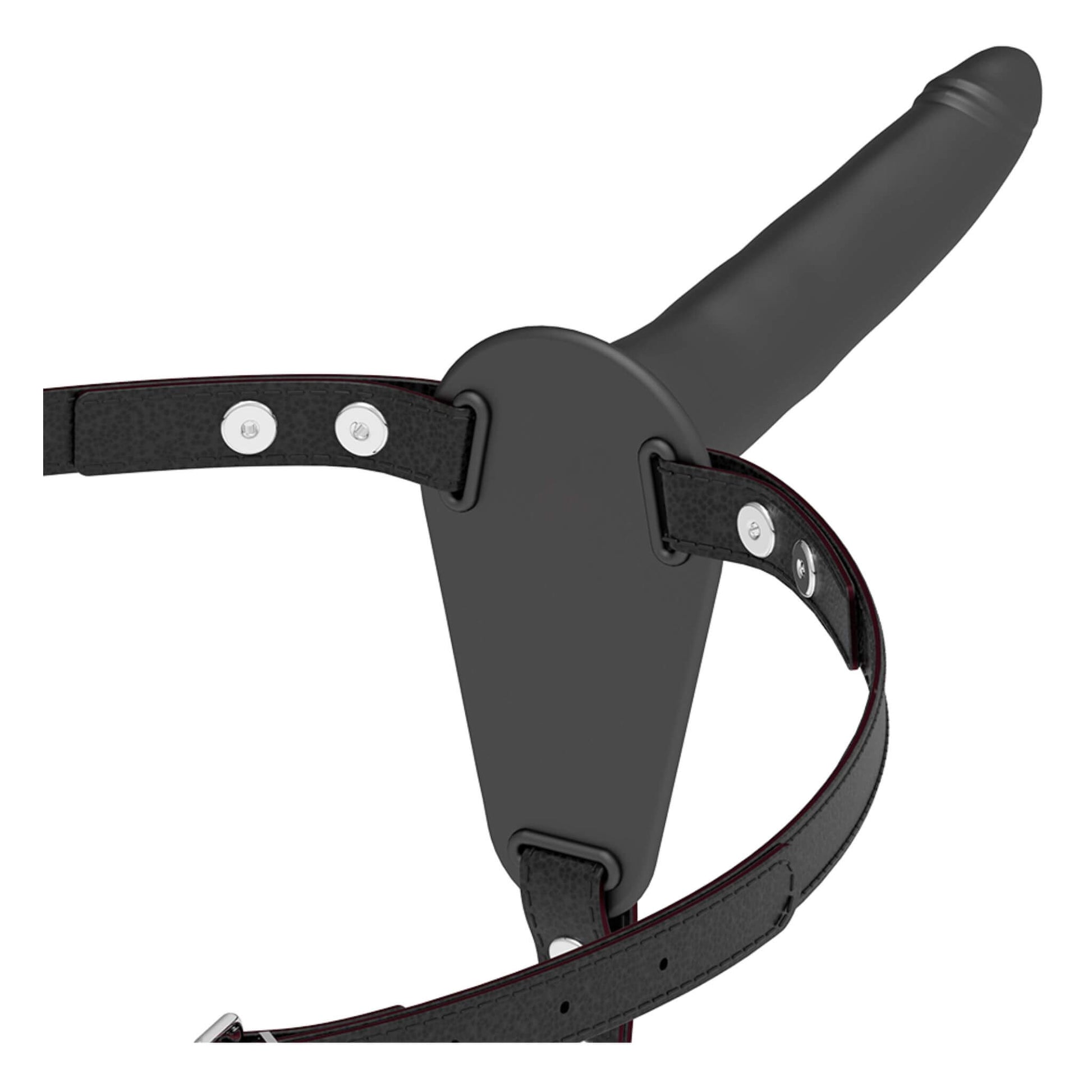 Arnes Sexual con Dildo BDSM