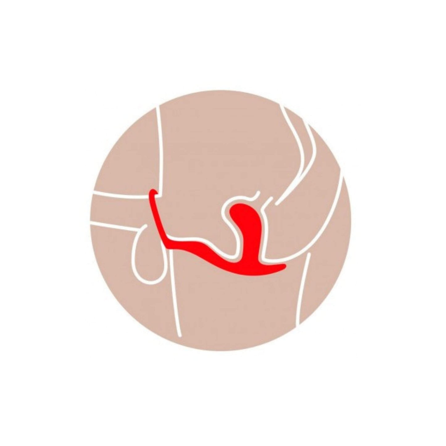 Anillo Para Pene Plug Anal Posición