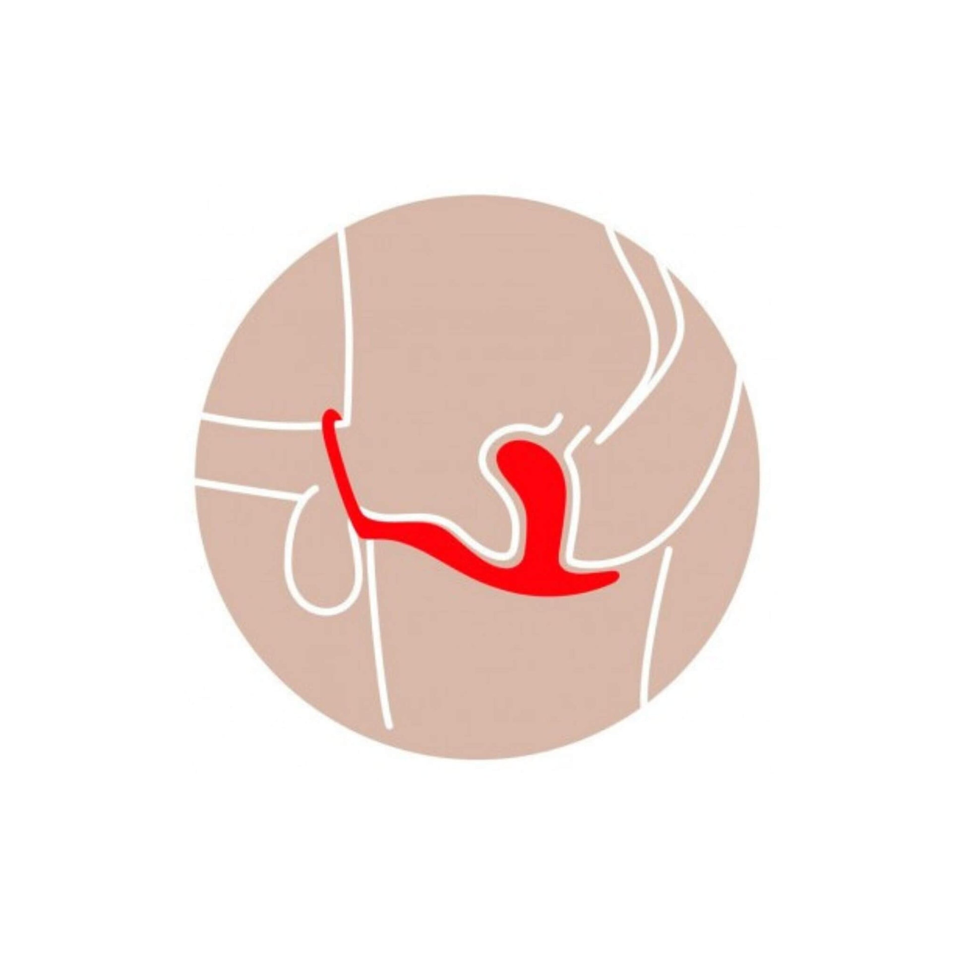 Anillo Para Pene Plug Anal Posición