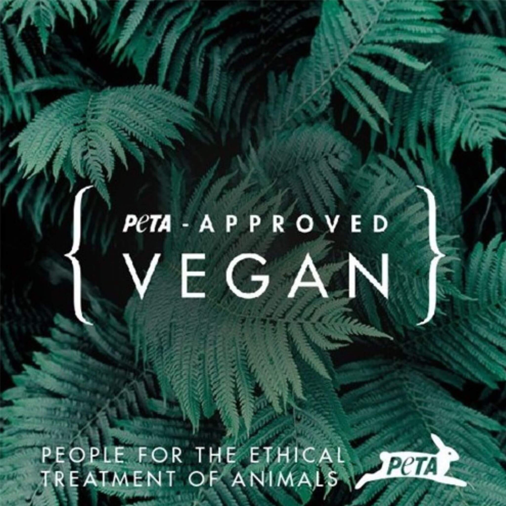Latigo BDSM Cuero Vegano