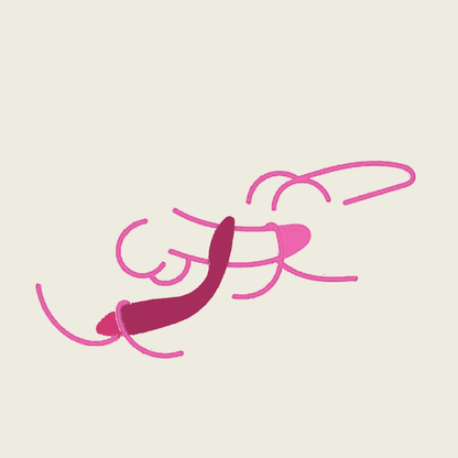 juguete sexual parejas